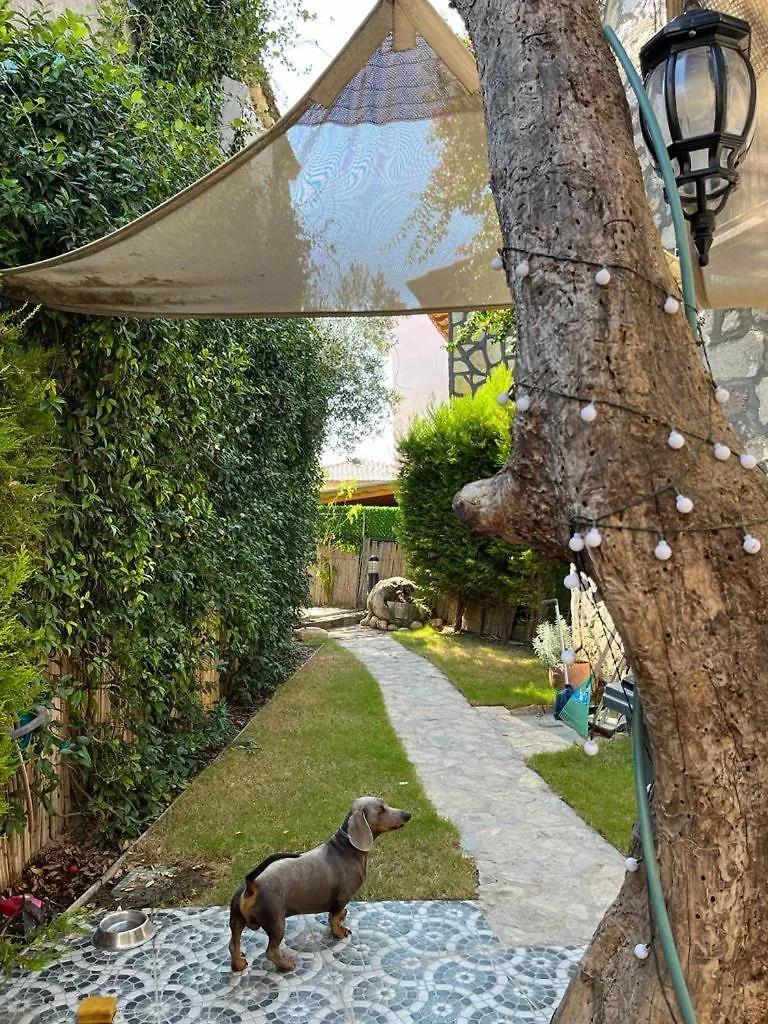 Homestay Tas Ev Apartment Karaburun  Turkey
